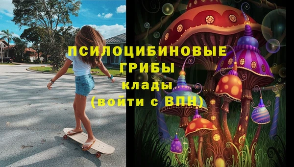apvp Абаза