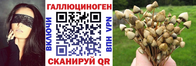 Галлюциногенные грибы Magic Shrooms  mega вход  Сольвычегодск  купить  сайты 